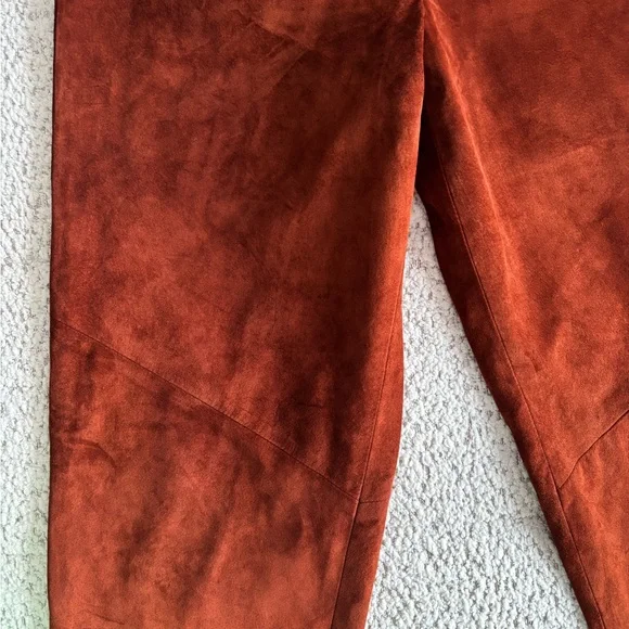 Danier Suede Leather pant - Picture 2 of 7